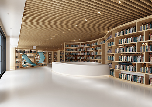 九曲河小学  图书室